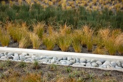 Stone drainage ditch in a storm run off area, planted with a variety of grass bushes