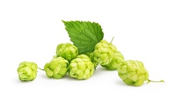 hops with leaf on a white background