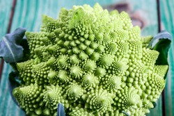 Romanesco broccoli close up. The fractal vegetable is known for it's connection to the fibonacci sequence and the golden ratio. Fun food for any practical scientists that loves mathematics.