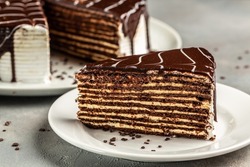 Delicious chocolate Prague cake, delicious chocolate cake. Food recipe background. Close up. Layered chocolate cake,