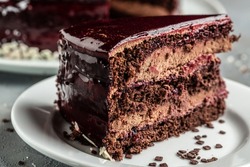 Delicious chocolate Prague cake, delicious chocolate cake. Food recipe background. Close up. Layered chocolate cake,