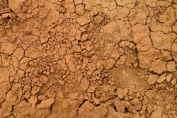 Dry cracked dirt texture background. Red clay desert. Illustration for news about soil erosion