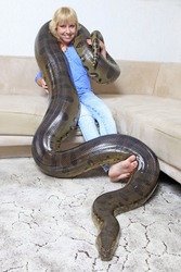 Woman with a domesticated anaconda