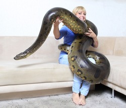 woman in her living room with a giant anaconda