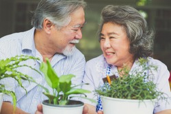 Happy asian elderly couple smiling health care and have a happy life after retirement stay home and plant trees in pots, Health and health insurance concept.