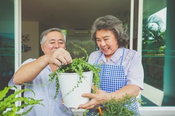 Happy asian elderly couple smiling health care and have a happy life after retirement stay home and plant trees in pots.