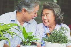 Happy asian elderly couple smiling health care and have a happy life after retirement stay home and plant trees in pots.