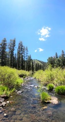 Panorama Nature - Arizona’s Wilderness in The White Mountains At The Black River.