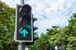Traffic light showing green go straight arrow with sky and tree background