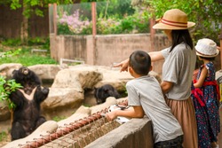 Asian family kids learning outdoor on vacation summer holiday, mother brother and sisters looking bear show for feeding in zoo, boy child holding telescope , pen and notebook for writing knowledge 