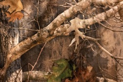 A Woodland Camouflage Pattern blur