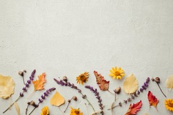 Autumn vibes. Template made of dried leaves and flowers on stone background. Seasonal background, fall concept, thanksgiving day composition. Flat lay, copy space