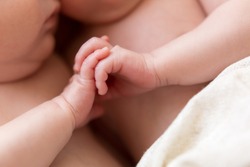 newborn twins. the twins hold hands. the hands of newborn children
