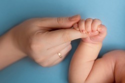 newborn baby holds mom's finger. hand of a newborn baby