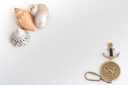 Tropical seashells and copper anchor, on white background. Composition on the sea theme.