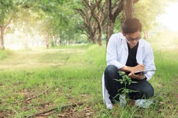Young Biology researcher Keep specifics of sample flowers in a nature park, Copy space