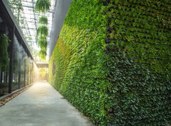 Green wall vertical garden friendly green nature eco friendly design landscape in building