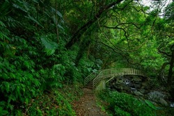 Verdant forest trails, arch bridges over ravines