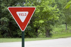 Yield Sign in a Park of Green Trees