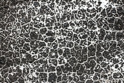 Grunge black and white texture.Universal background for your design.