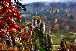 autumn valey fogg forest national park