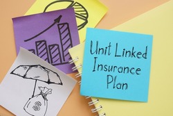 Unit Linked Insurance Plan is shown on a business photo using the text