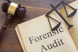 Forensic audit is shown on a photo using the text