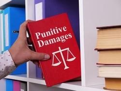 Punitive Damages are shown using a text