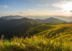 Goldenhour at the green valley of Chiangrai, Thailand.