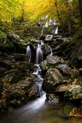 Dark Hollow Falls in Virginia