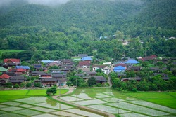 rice field, a natural beauty on mountain in Nan,Khun Nan Rice Terraces, Boklua Nan Province, Thailand