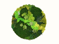 round panel from decorative preserved forest moss and preserved plants for wall decor.