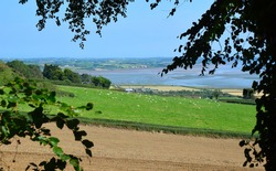 Strangford Lough and the Ards Peninsula from Scrabo Country Park, County Down, Northern Ireland