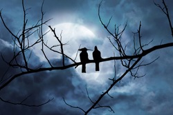 Silhouette of two birds on a branch in a night scene with a moonlit background in a cloud.