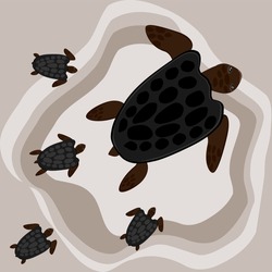 mother turtle baby walking on the beach brown vector illustration marine animals amphibians