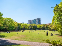 Tokyo, Japan:  A park nearby the residential area.  People spend their time relaxing under the blue sky on sunny day.