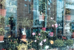 Glass shop window with flowers and reflection of the city.