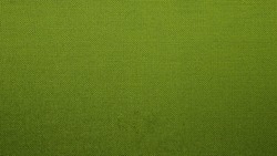 Fabric texture background. Green Lime
