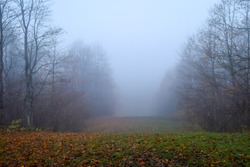Fog in autumn weather on mist landscape after rain