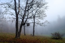 A tree with a feeder in the autumn fog. Mystical fog in autumn park. Spooky fog in autumn park. Autumn fog
