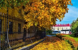 Colorful autumn on the streets of Saint Petersburg city, Russia. Beautiful autumn in beautiful russian Saint Petersburg city. Autumn in city