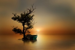 A small boat parked under a mangrove tree at the sunset
