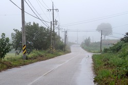 Country road with fog in the morning in Korea