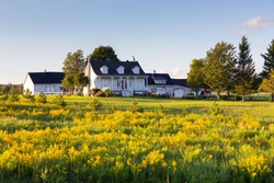 Pretty ancestral neoclassical patrimonial country house surrounded by barns seen across a field of Canadian Goldenrod in St-Augustin-de-Desmaures, Quebec, Canada