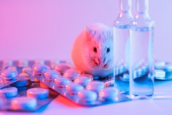 A live white laboratory experimental mouse sits on pills.Concept medical manipulation on animals,vaccine experiment,testing of drugs,vitamins.