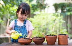 Adorable 3 years old asian little girl is watering the plant  in the pots outside the house, concept of plant growing learning activity for preschool kid and child education for the tree in nature