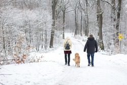 happy old couple walking their golden retreiver dog through the snow in a forest daytime