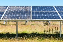 Contrast between clean and dirty solar panels in an array with the sections adjacent in a field of long grass