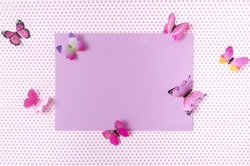 A lilac card with lilac and magenta butterflies around on dotted pink and white background. Romantic spring summer concept for card or invitation or announcement. Copy space. Flat lay