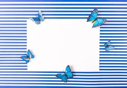 A white card with blue butterflies around on striped blue and white background. Marine summer concept for card or invitation or announcement. Copy space. Flat lay